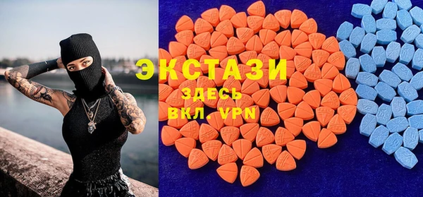индика Михайловск