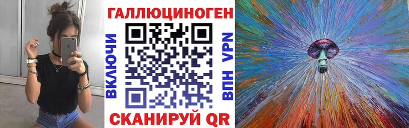 закладки  Покачи  Галлюциногенные грибы Psilocybe 